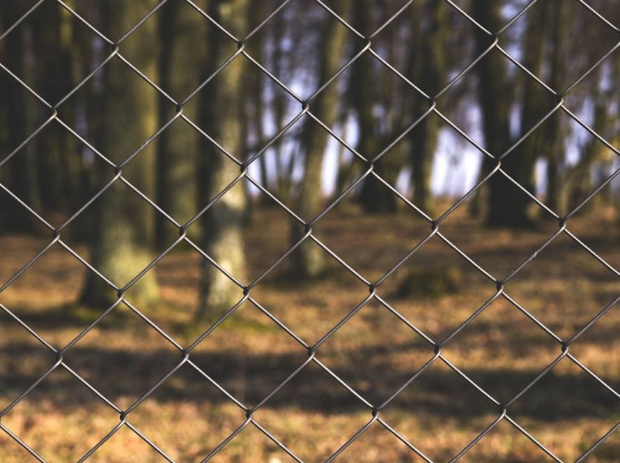 chainlink